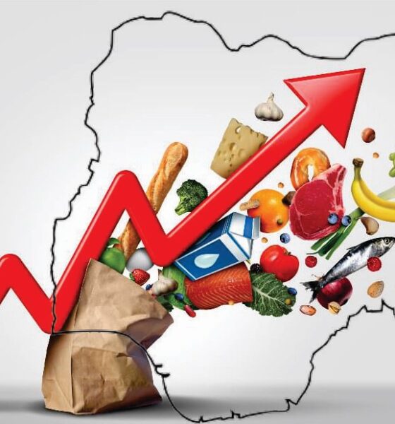 NigeriaInflationRateVerseNewsNG