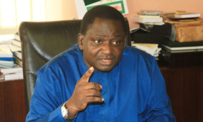 Femi Adesina