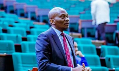 Hon Ndudi Elumelu