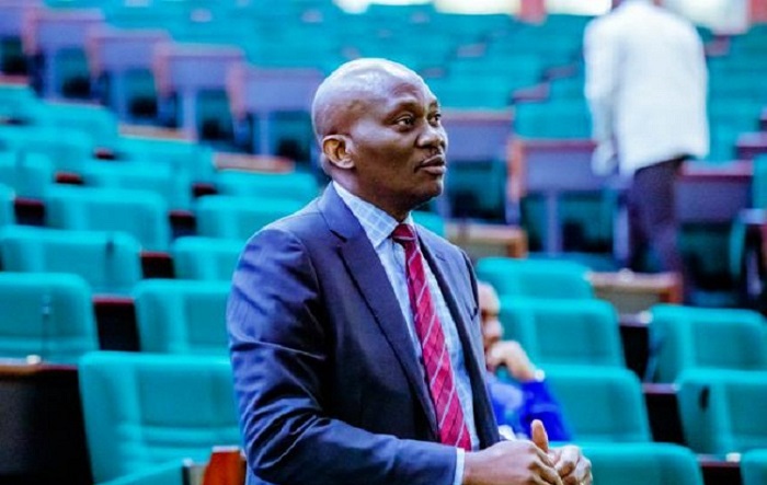 Hon Ndudi Elumelu