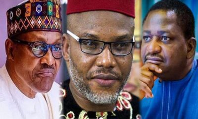 buhari nnamdi kanu femi