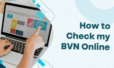 How To Check BVN Details Online