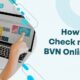 How To Check BVN Details Online