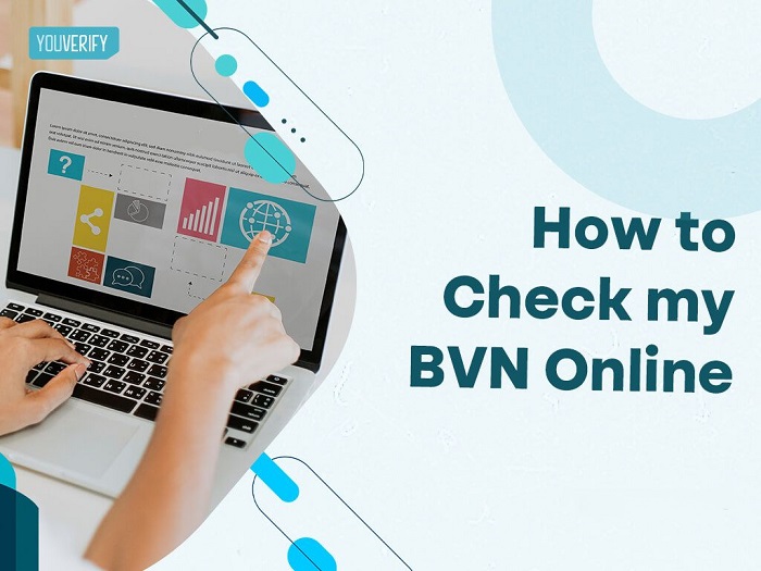 How To Check BVN Details Online