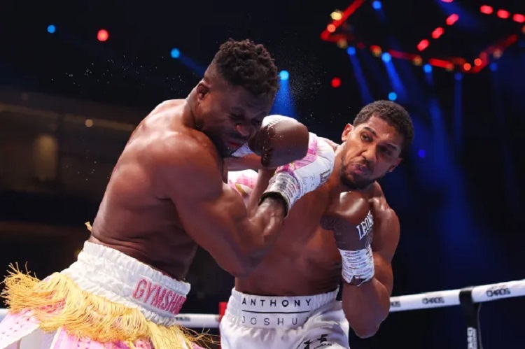 Anthony Joshua Destroys Francis Ngannou With Brutal Knockout Punch