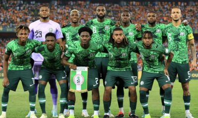 NFF Settles For Another Foreign Coach For Super Eagles