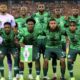 NFF Settles For Another Foreign Coach For Super Eagles