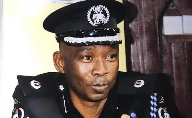 Deputy Police Commissioner