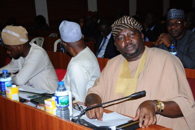 Power Outage Interrupts Power Minister's N344bn Budget Presentation At National Assembly