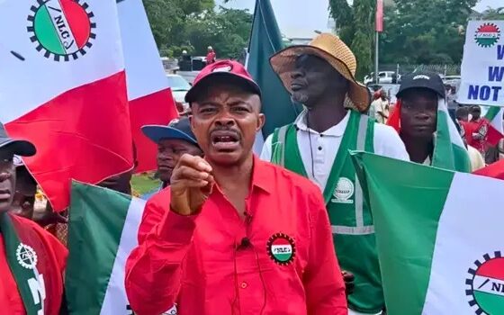 Cybersecurity Levy: 'Another Gang Up By Ruling Elite To Extort Helpless Nigerians - NLC