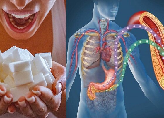 Dangerous Effects Of Sugar: How Sugar Kills Your Immune System, Causes Heart Diseases, Stroke, Cancer