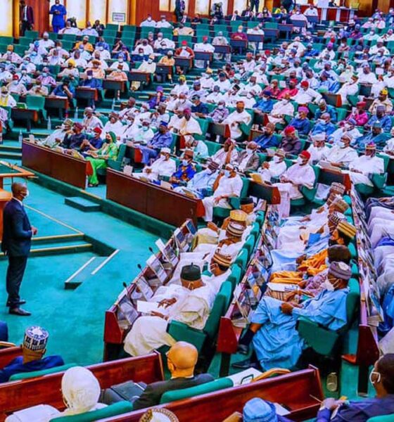 House of Reps