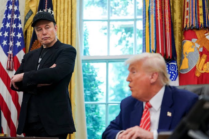 elon trump