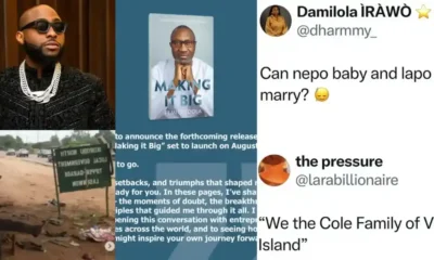 napo lapo