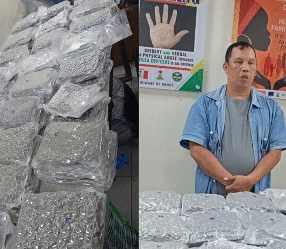 ndlea arrest