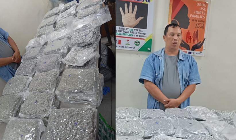 ndlea arrest