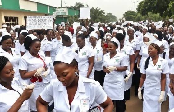 nigerian nurses