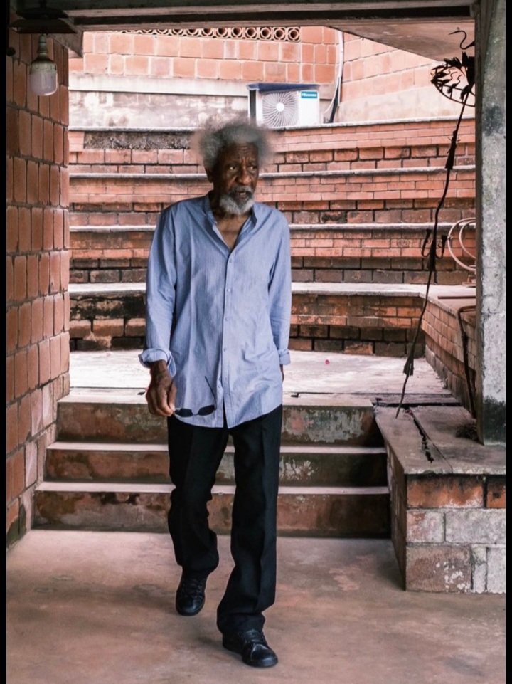 prof wole
