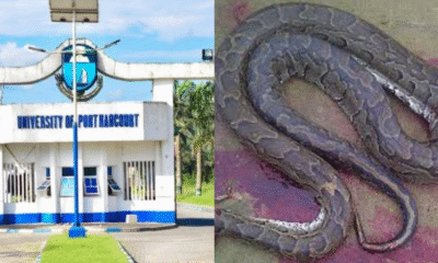 uniport python