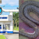 uniport python