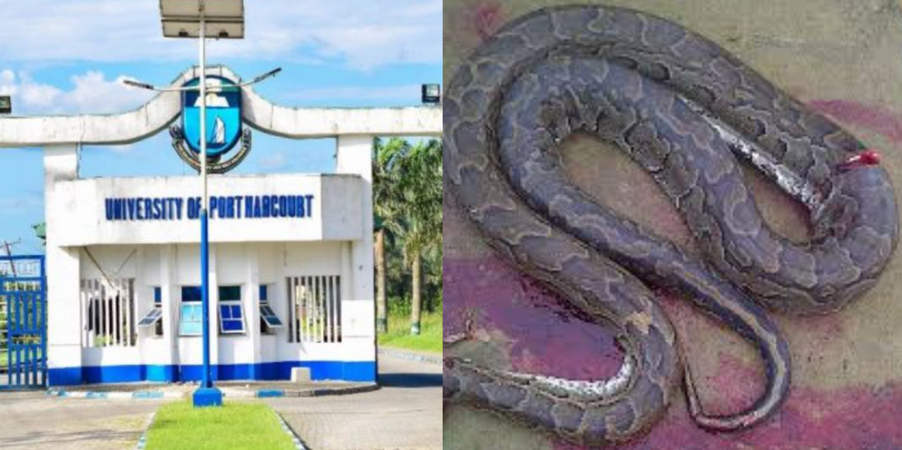 uniport python