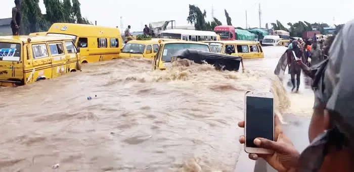 Flood 3