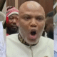 nnamdi kanu wife versenewsnigeria 3