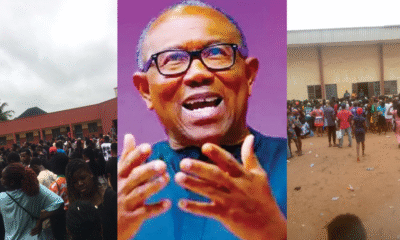 peter obi jamb