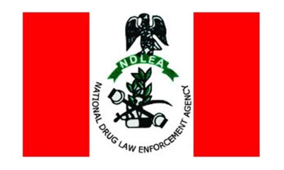 NDLEA Logo NEw