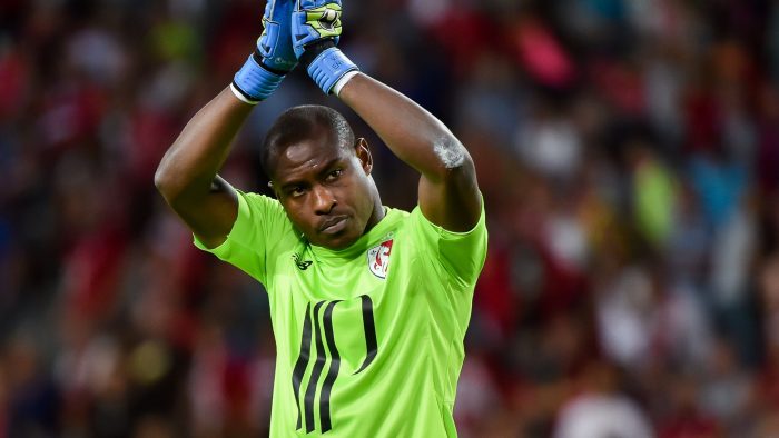 Vincent Enyeama