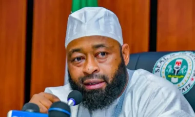 Niger governor Umar Bago