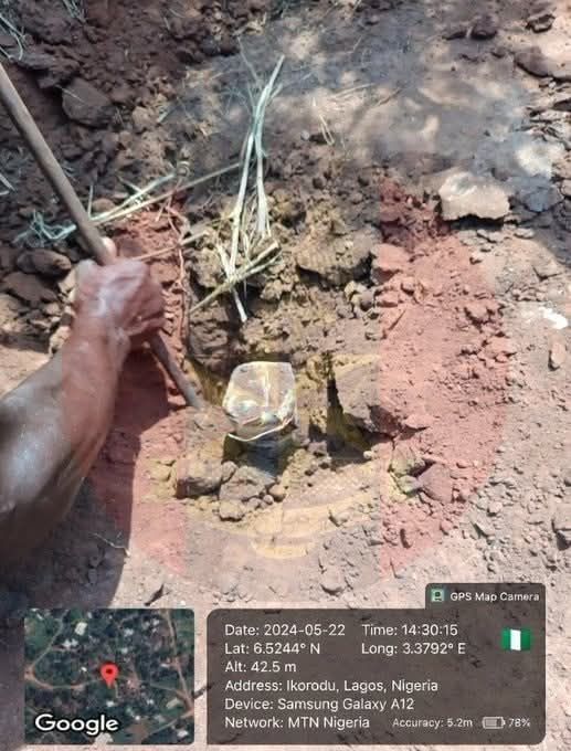 WhatsApp Image 2026 03 14 at 10.00.50 PM