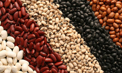 beans