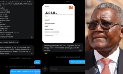 dangote payslip
