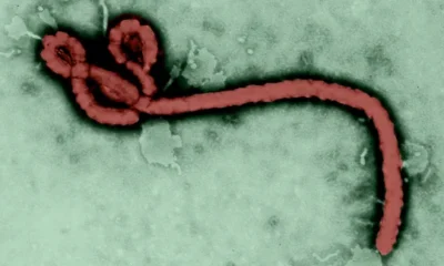 ebola history and outbreaks alt 1440x810 1