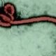 ebola history and outbreaks alt 1440x810 1