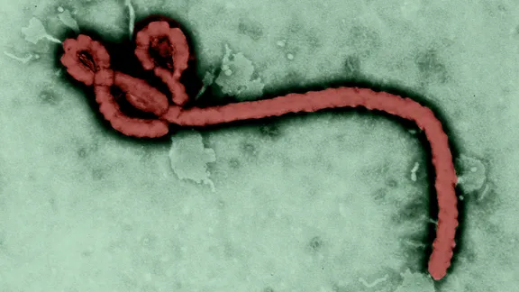 ebola history and outbreaks alt 1440x810 1