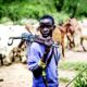 fulani herdsmen 1