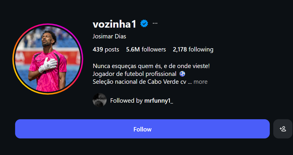 vozinha