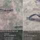 Troops attack bandits
