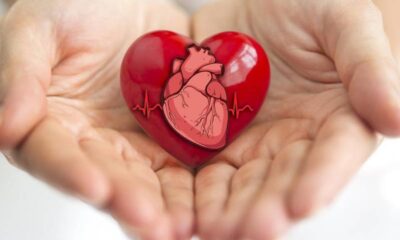 heart