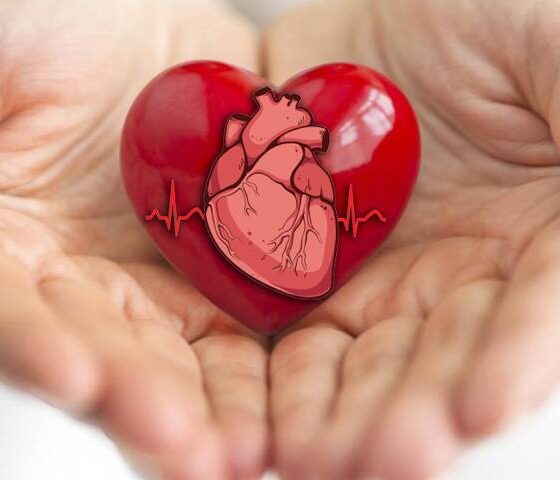 heart