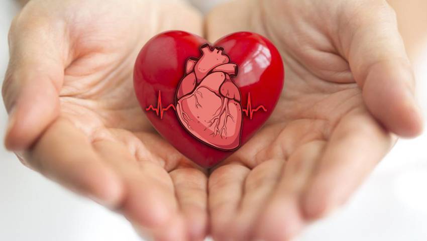 heart