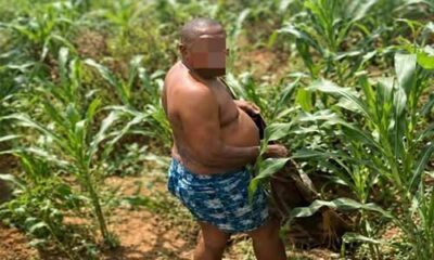 UNIZIK Biology Lecturer