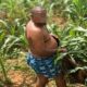 UNIZIK Biology Lecturer