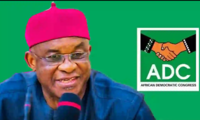 adc david mark