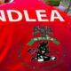 ndlea