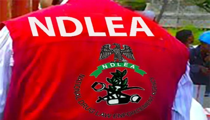 ndlea