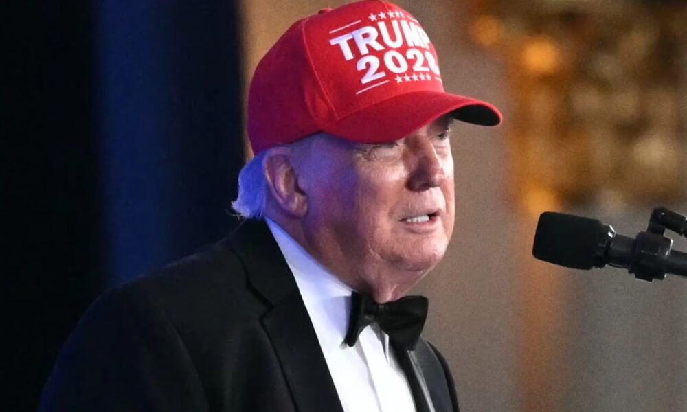 trump 228
