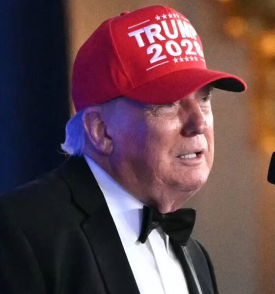 trump 228